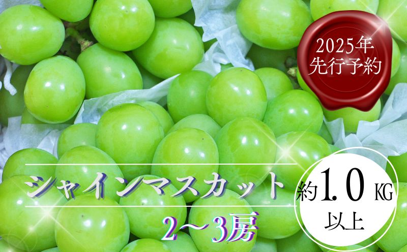 【2026年 先行予約】山梨県都留市産 朝採れ シャインマスカット ２~3房（約1.0kg以上）