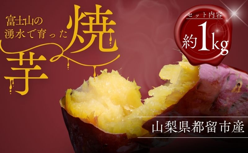 富士山の湧水で育った焼きいも