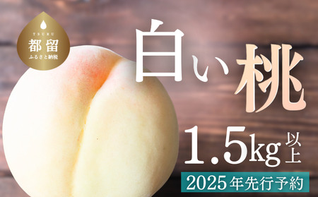 【2026年先行予約】山梨県都留市産　朝採れ「白い桃」 1.5kg以上 (５～７玉）