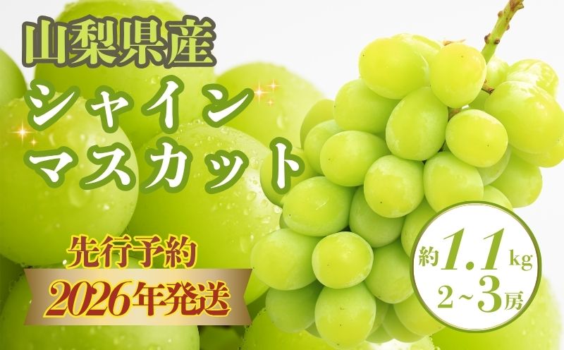 【2026年 先行予約】山梨県産　シャインマスカット 約1.1kg (２房～3房)