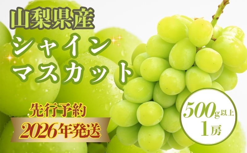 【2026年先行予約】　シャインマスカット500g以上（1房）