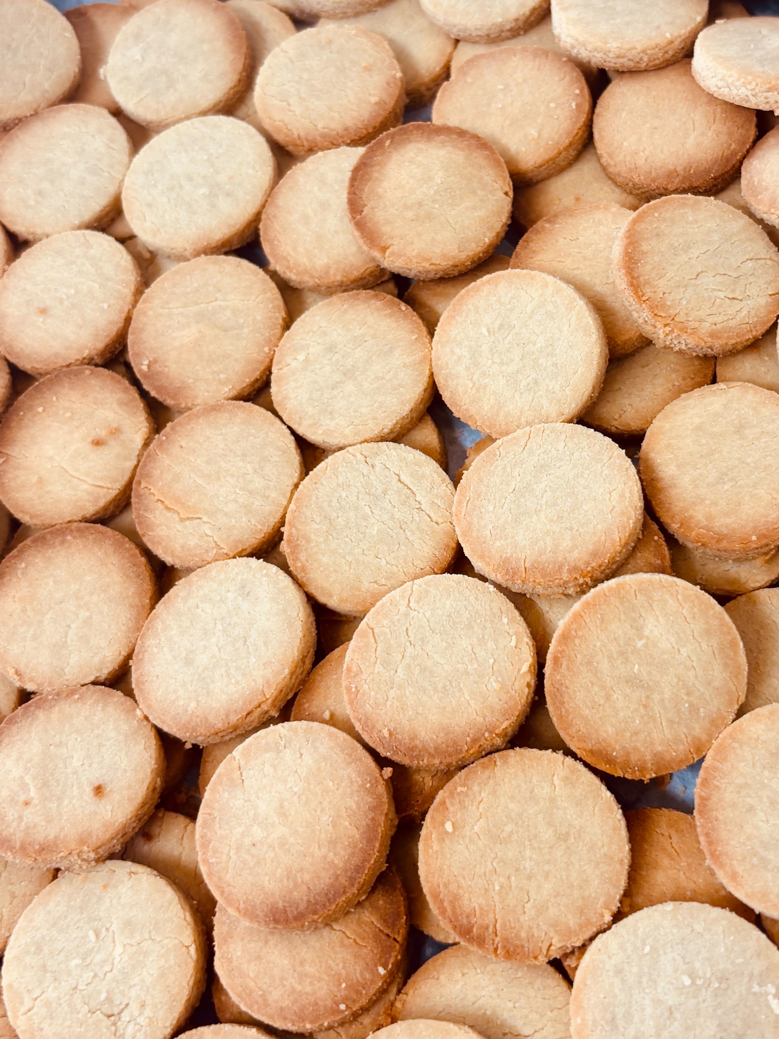 【完売御礼】腸活OKARA Cookie