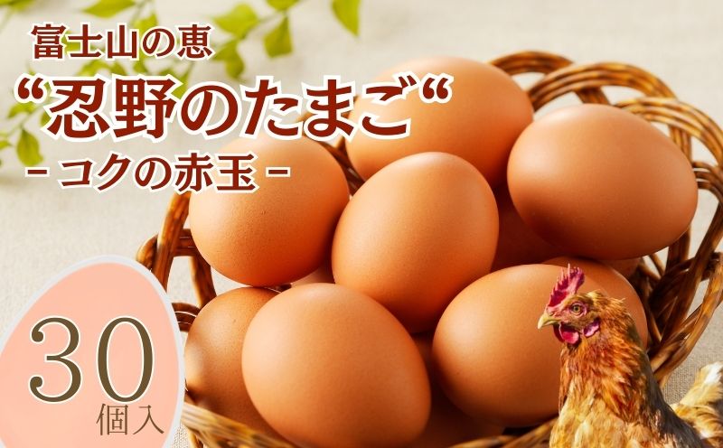 富士山の恵“忍野のたまご“‐コクの赤玉‐30個入