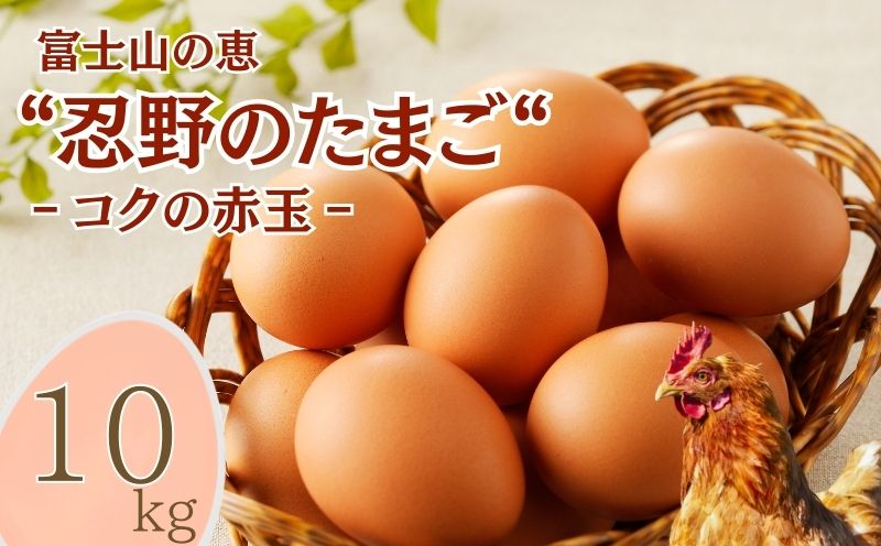富士山の恵“忍野のたまご“‐コクの赤玉‐10kg