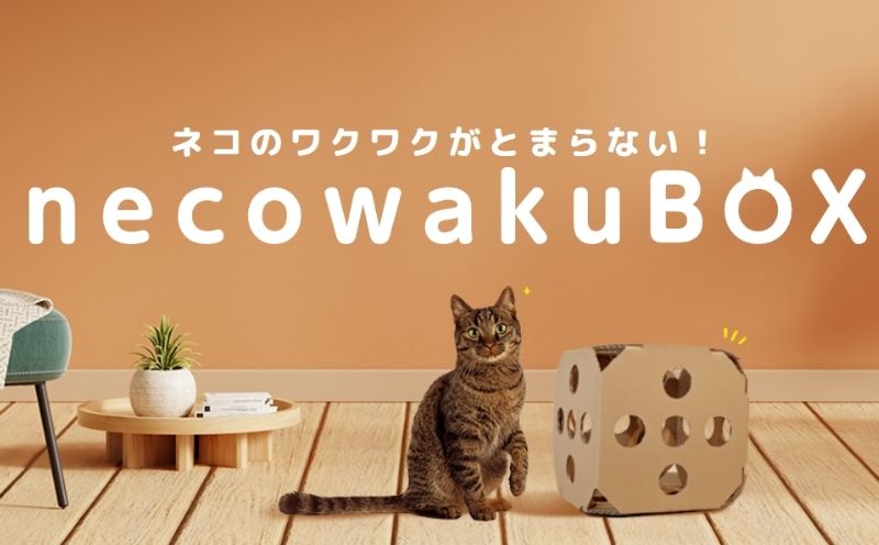 necowakuBOX