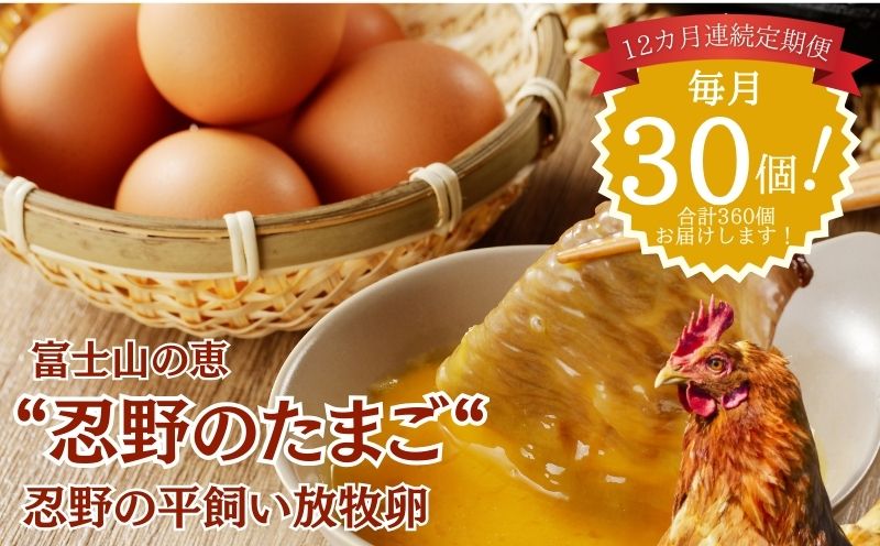【定期便】忍野の平飼い放牧卵　12か月連続定期便（毎月30個×12か月　合計360個）