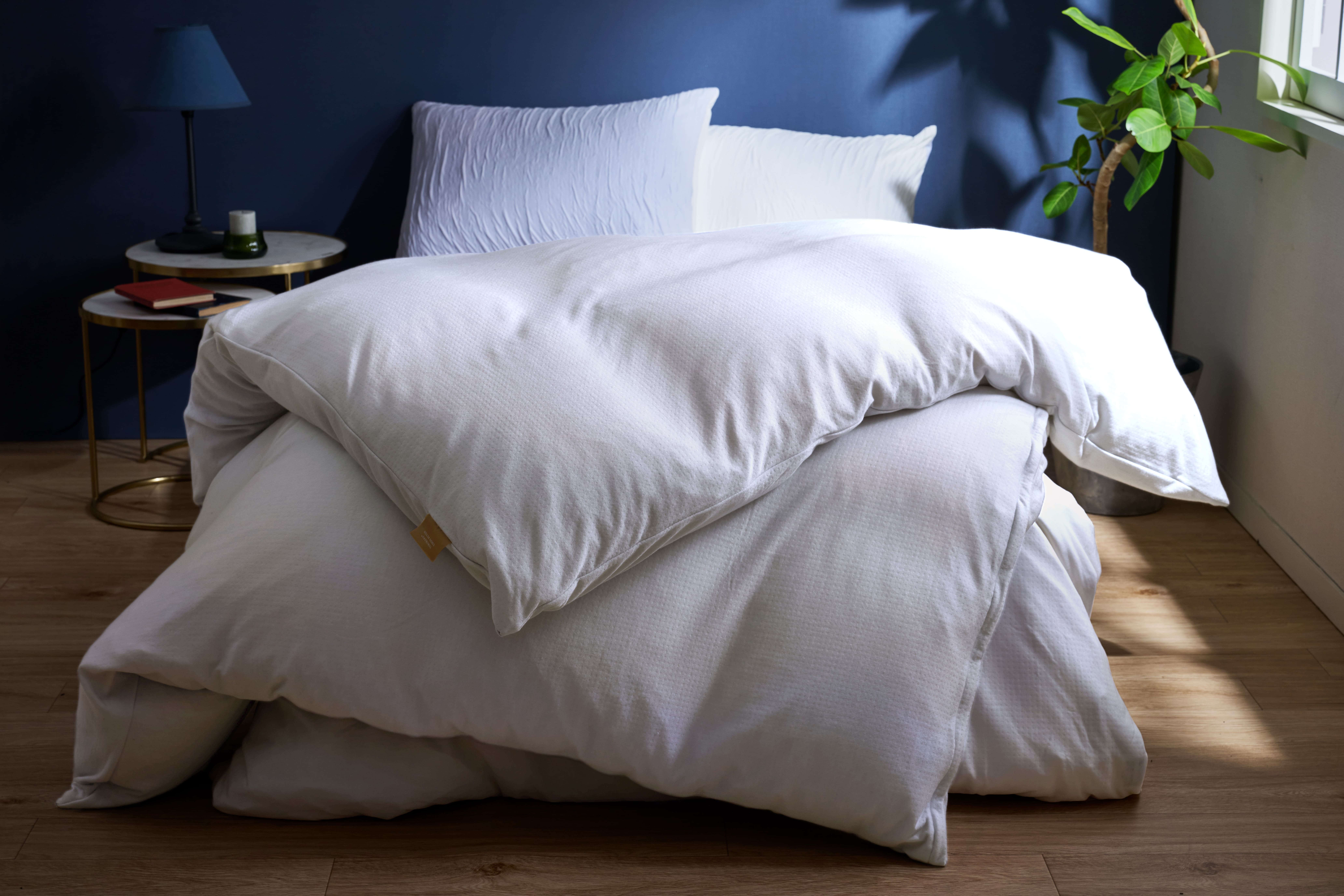 ＜とろける羽毛ふとん＞PREMIUM2　掛け　クィーン　ホワイト　'4589657589466