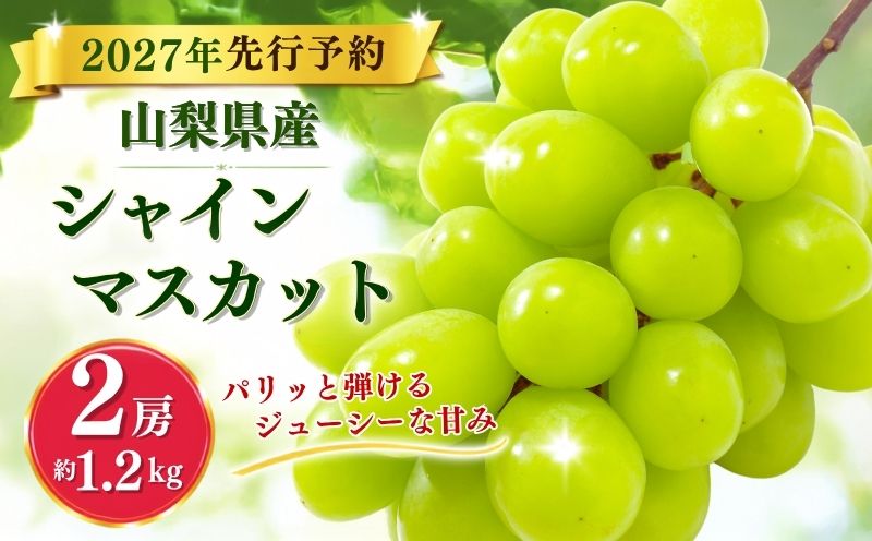 【2027年 先行予約】 山梨県産 シャインマスカット ２房 (約1.2kg)