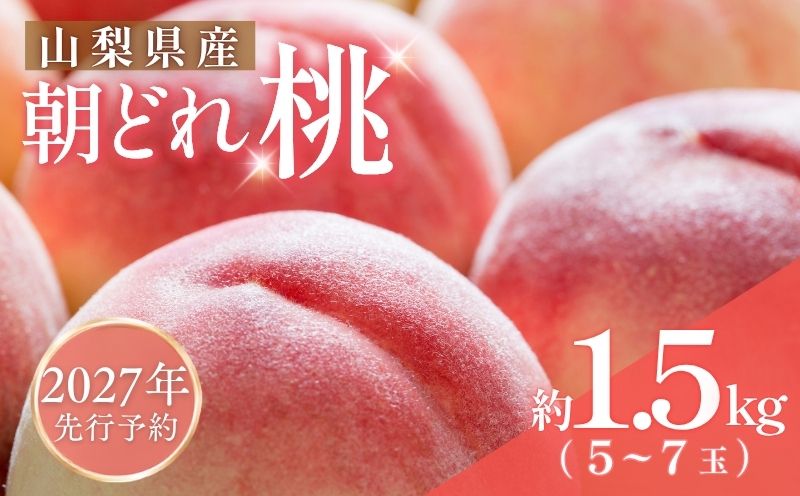 【2027年 先行予約】 山梨県都留市産　朝採れ桃 約1.5kg 以上(５～７玉）