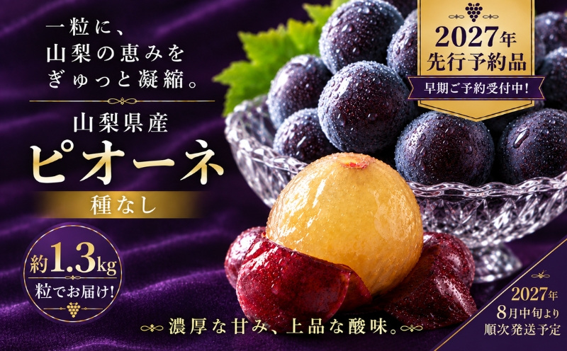 【2027年先行予約】ピオーネ 約1.3Kg（粒）