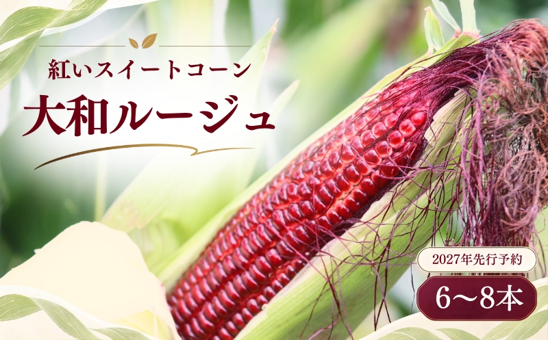【2027年先行予約】紅いスイートコーン　大和ルージュ (6～8本)