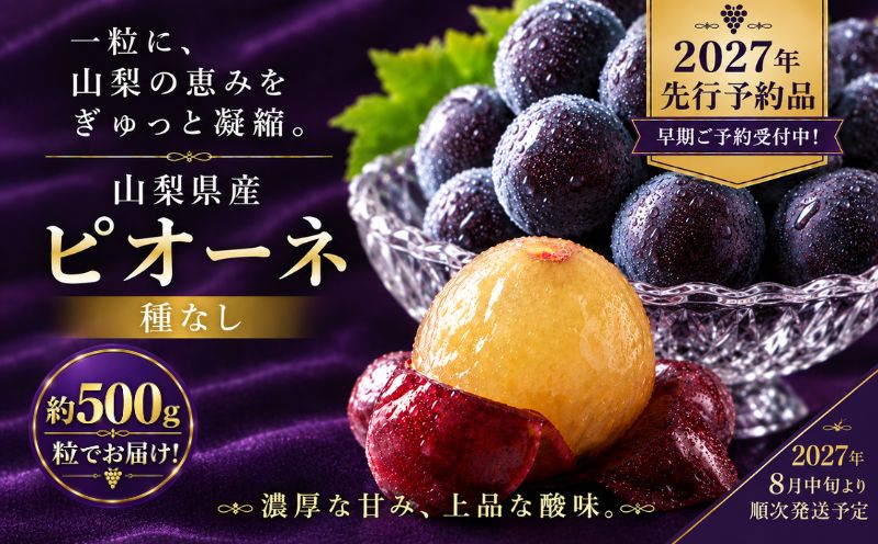 【2027年先行予約】ピオーネ 500g （粒）