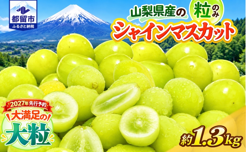 シャインマスカット 約1.3kg　（粒）